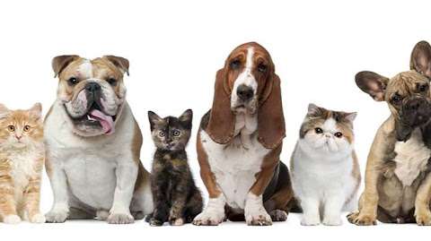 Carman Vet Clinic Carman Vet Clinic